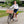 Laden Sie das Bild in den Galerie-Viewer, Radrock No. 1 - #FREE, Futter in gelb