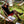 Load image into Gallery viewer, Radrock No. 1 - #CLASS, Futter in rubinrot